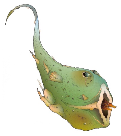 Транспортно-десантное судно Йорик-трема