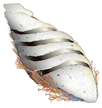Линкор «Миид ро’ик» Линкор «Миид ро’ик»
