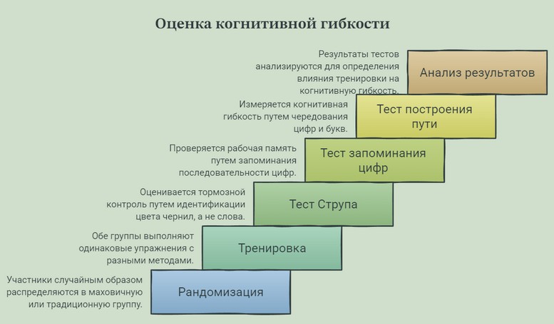 Оценка когнитивной гибкости в инфографике